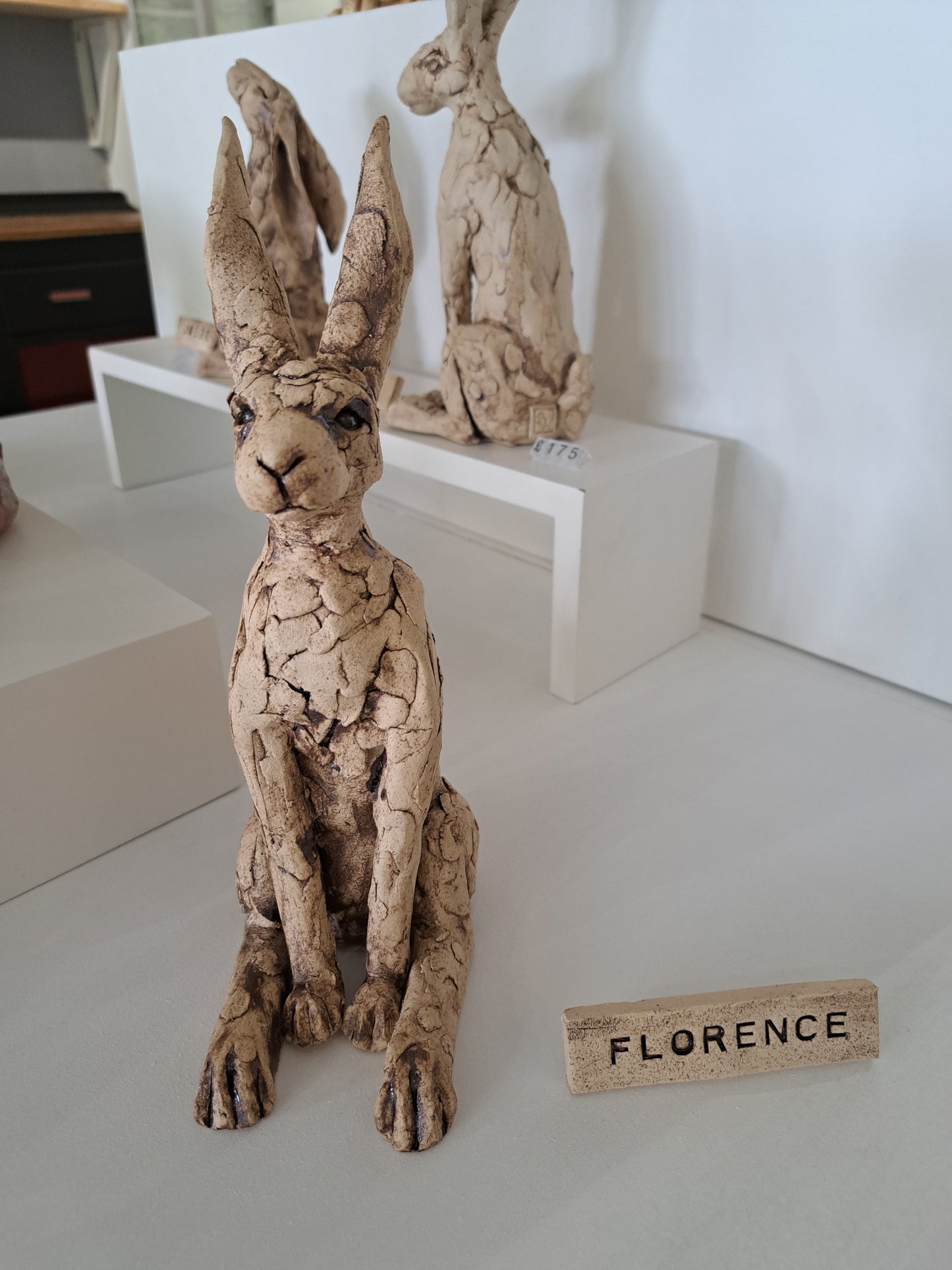 Sharon Westmoreland - Florence Hare