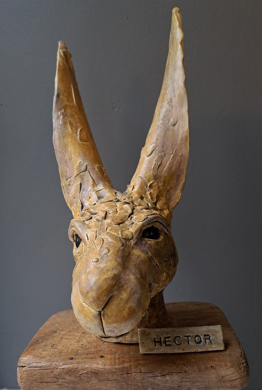 Sharon Westmoreland - Hector Hare Head