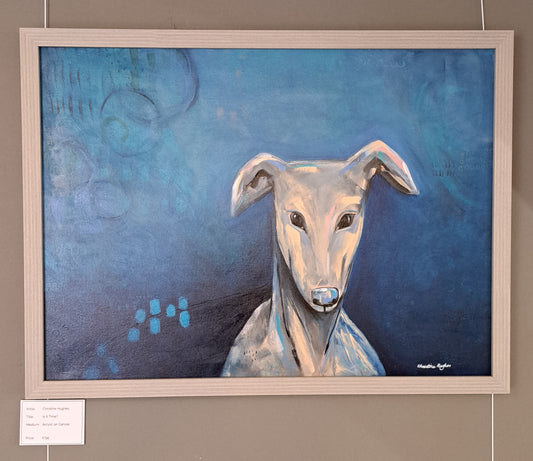 Christine Hughes - Is It Time? Whippet Portrait