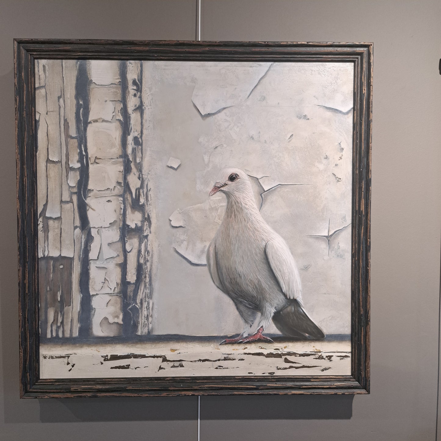 Sarah Williams - Dove oil painting