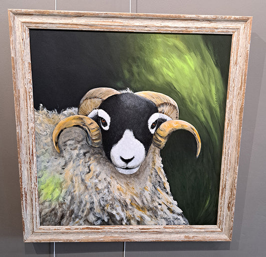 Christine Hughes - Swaledale Sheep