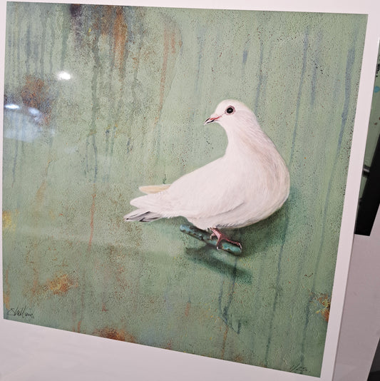 Sarah Williams - Fine Art Print Dove, The Handle On The Door To Peace